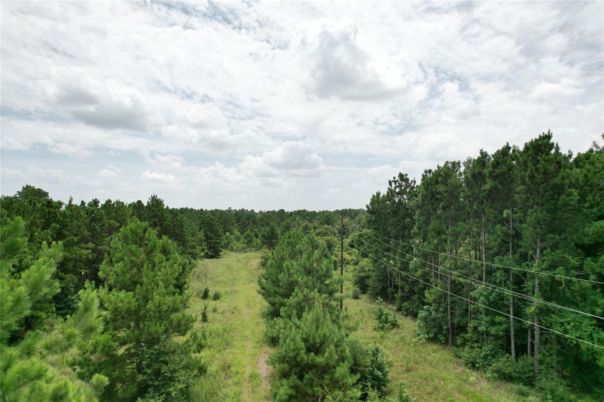 TBD State Highway 242
