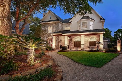7 Coverdell Park The Woodlands TX 77382