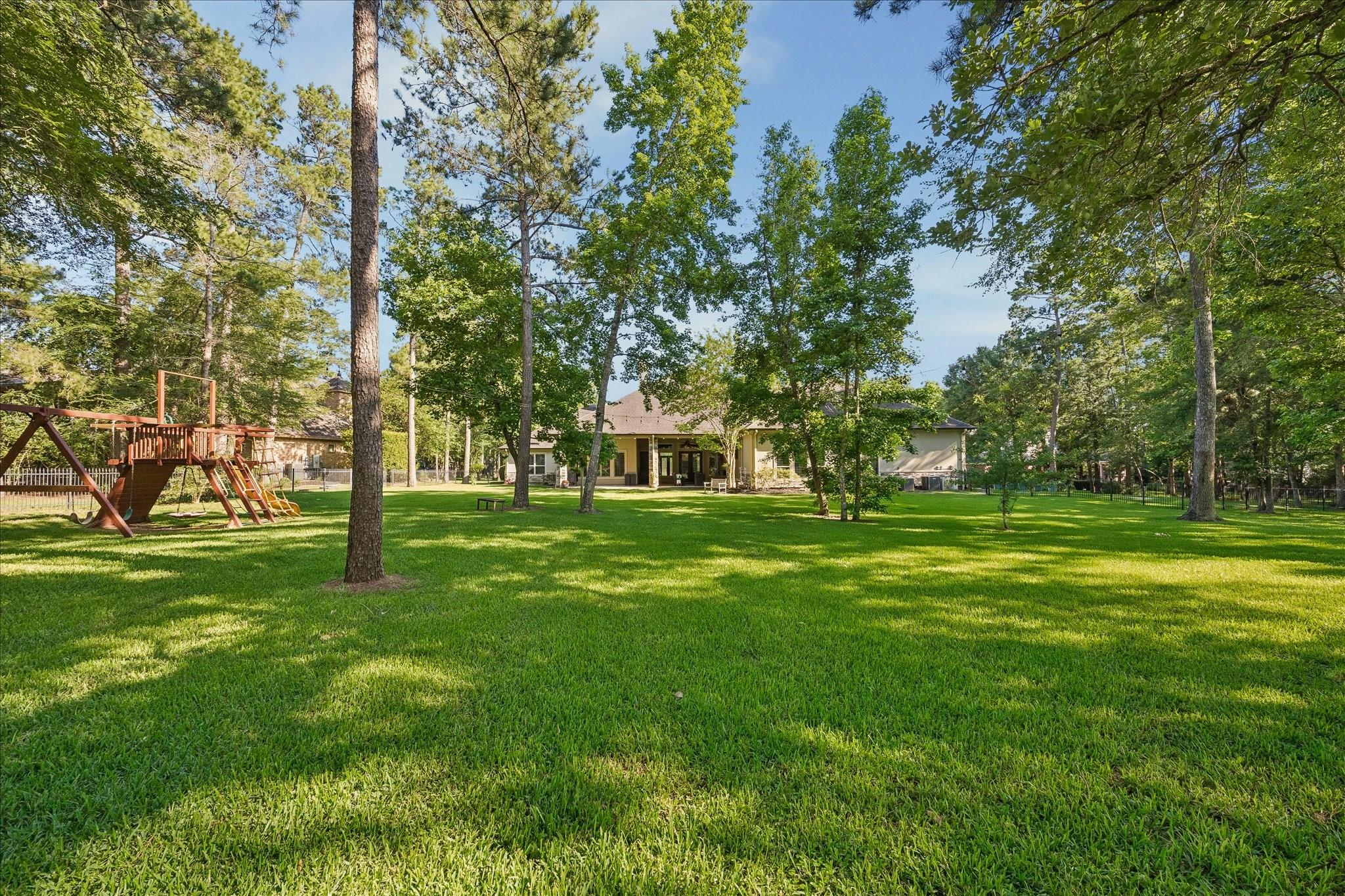 28203 Meadow Forest