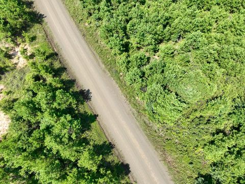 Vacant Land For Sale - 11 Carters Ferry Road<br/> Sabine County, Milam, TX 75959