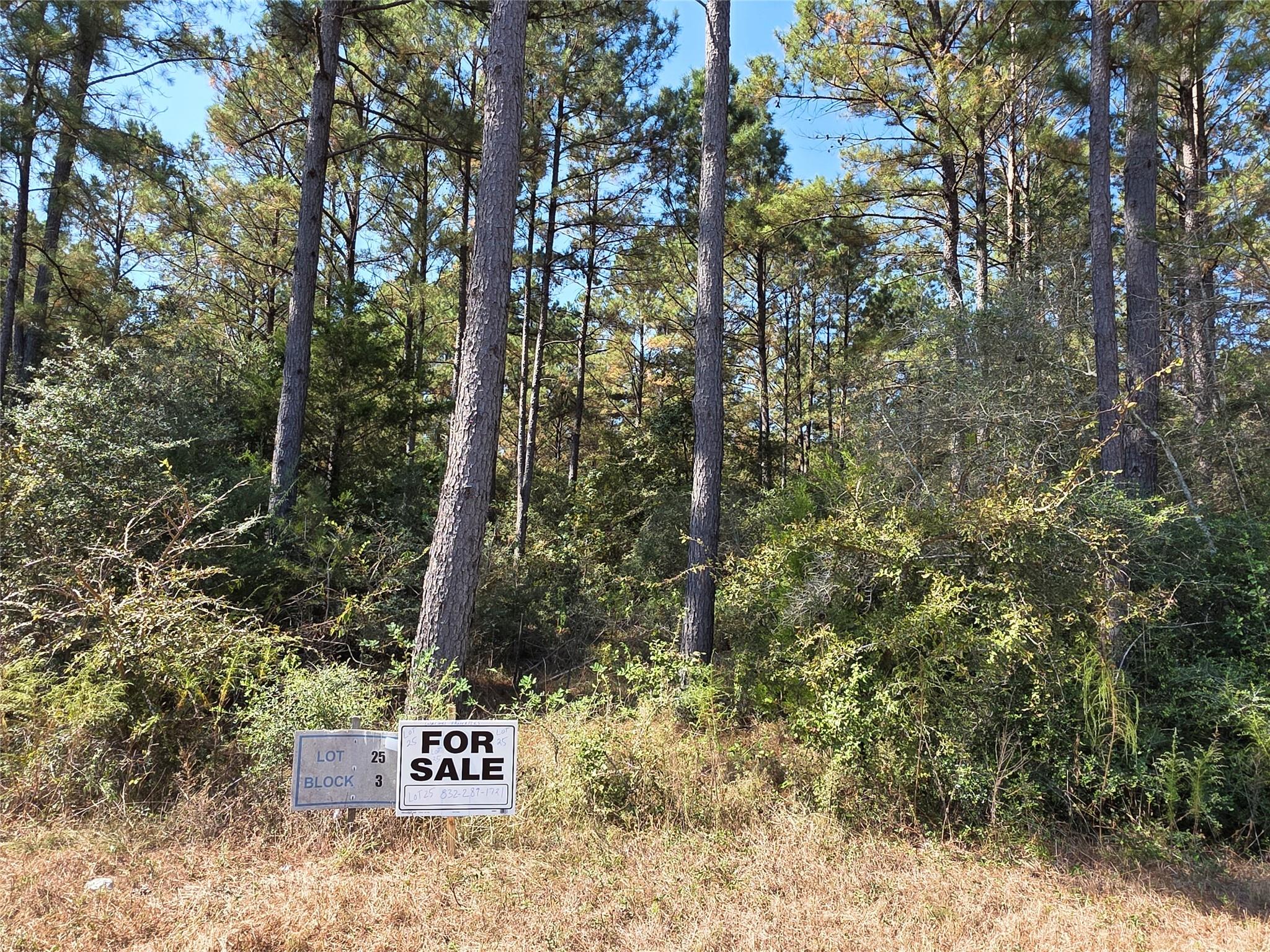 10928 Ruger Road