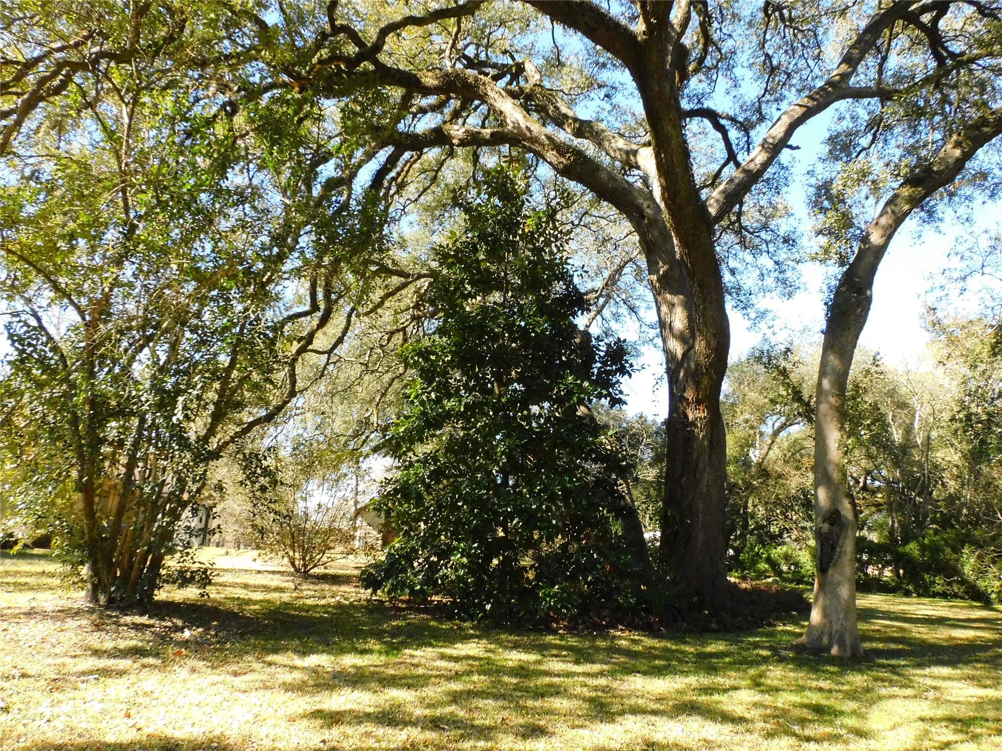 2408 Gun And Rod Road