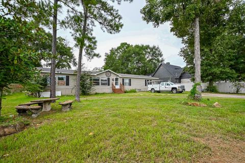 Photo of 23893 Paper Wasp Lane, New Caney, TX 77357 (MLS # 69428062)