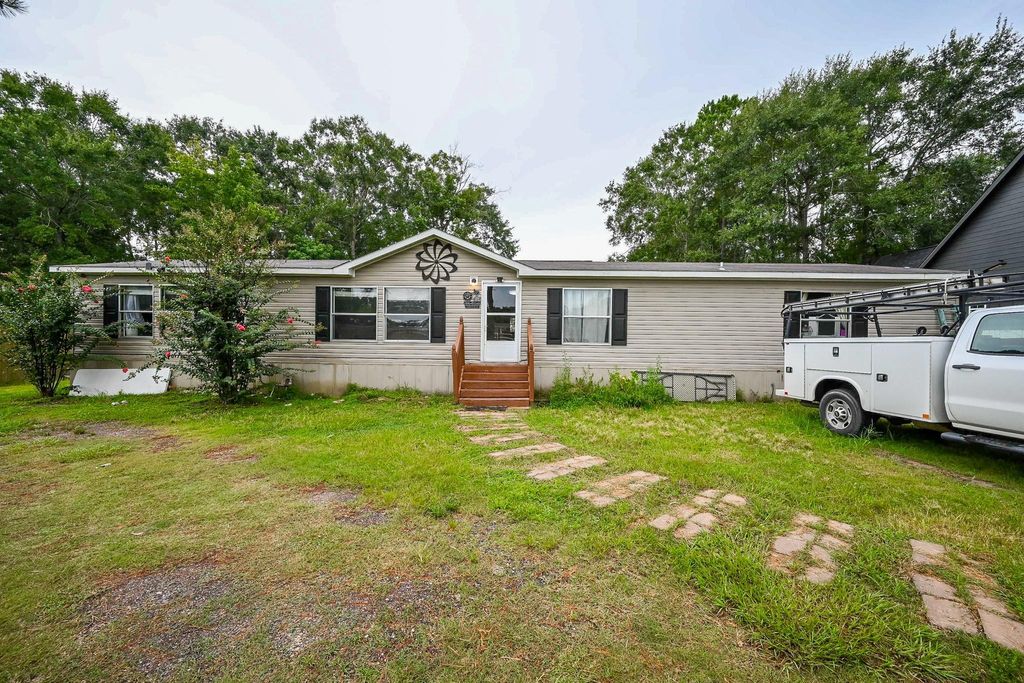 Photo of 23893 Paper Wasp Lane, New Caney, TX 77357 (MLS # 69428062)