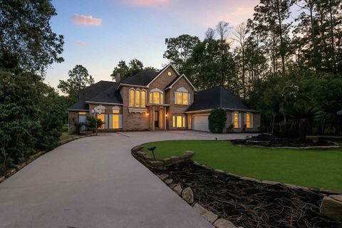 Photo of 3230 Lake Island Drive, Montgomery, TX 77356 (MLS # 46384305)