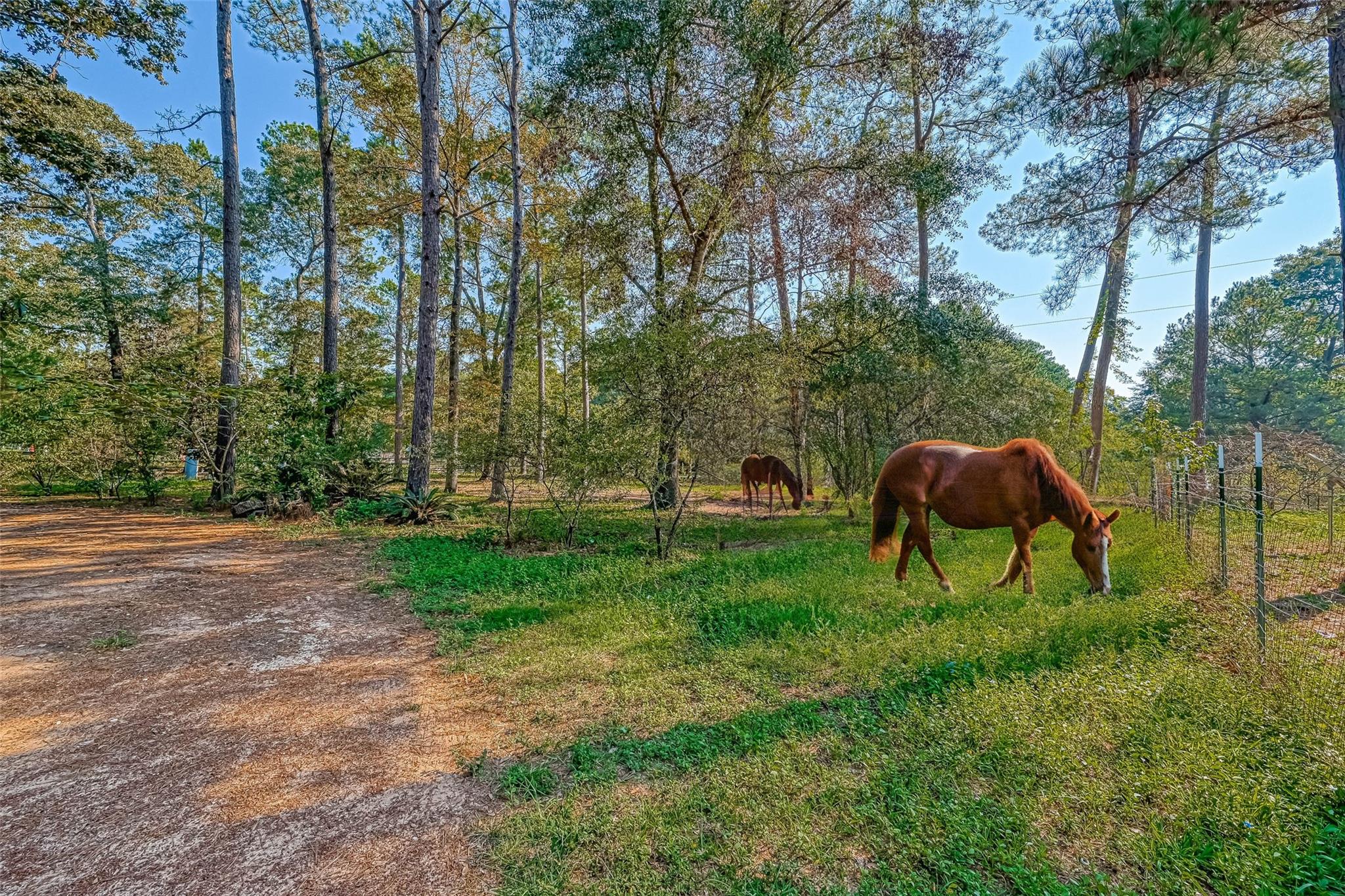 648 Oak Ridge Street