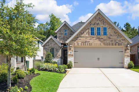 Photo of 388 Rise Lane, Montgomery, TX 77316 (MLS # 43196842)