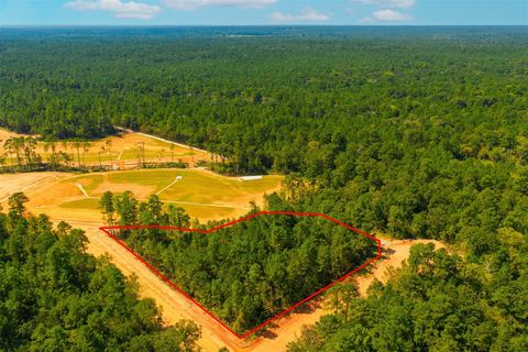 Photo of 26411 Old Head Trail, Montgomery, TX 77316 (MLS # 79897170)