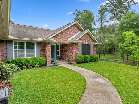 Photo of 605 Pelican Street, Magnolia, TX 77355 (MLS # 73454540)