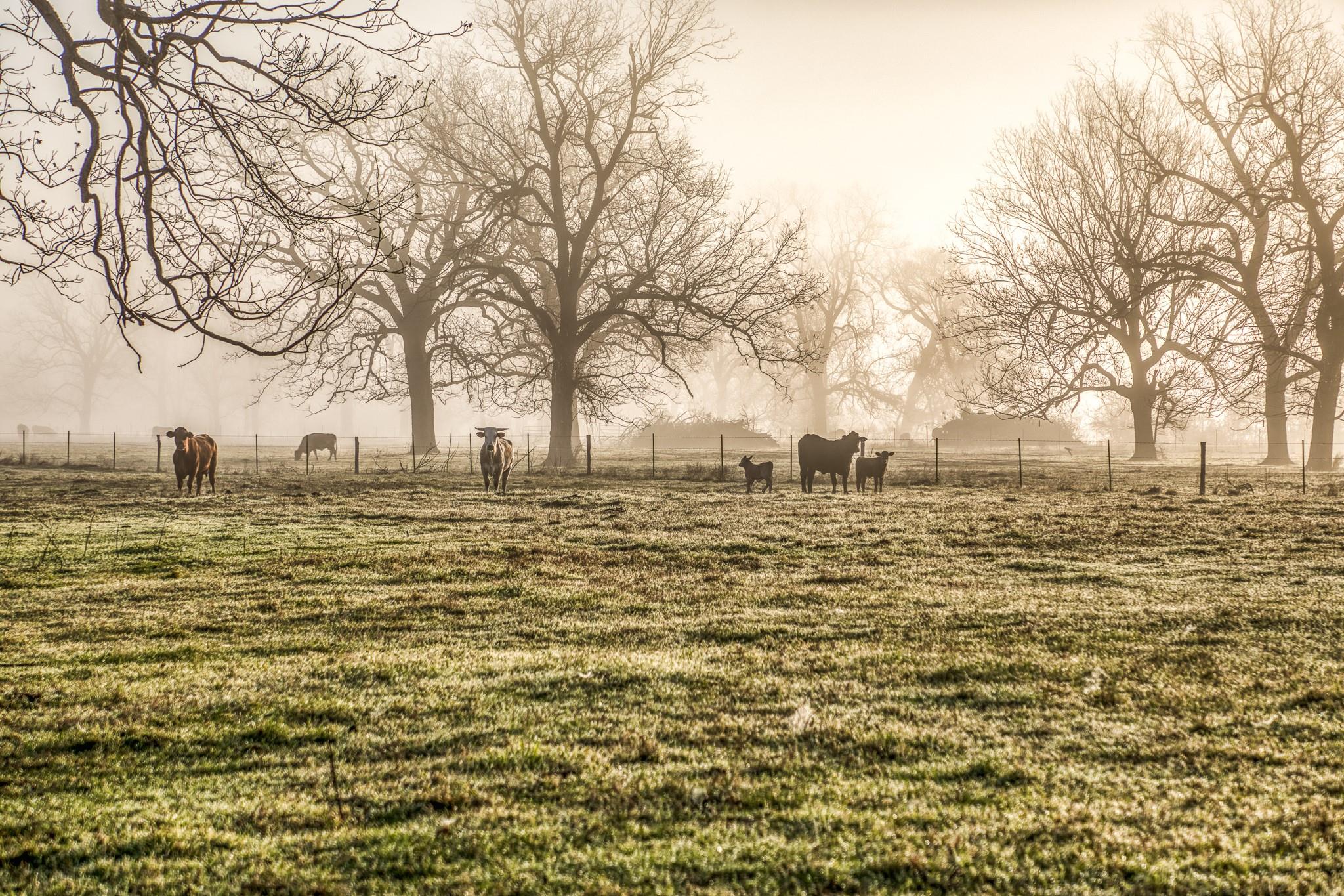 0000 Steck Bottom Road