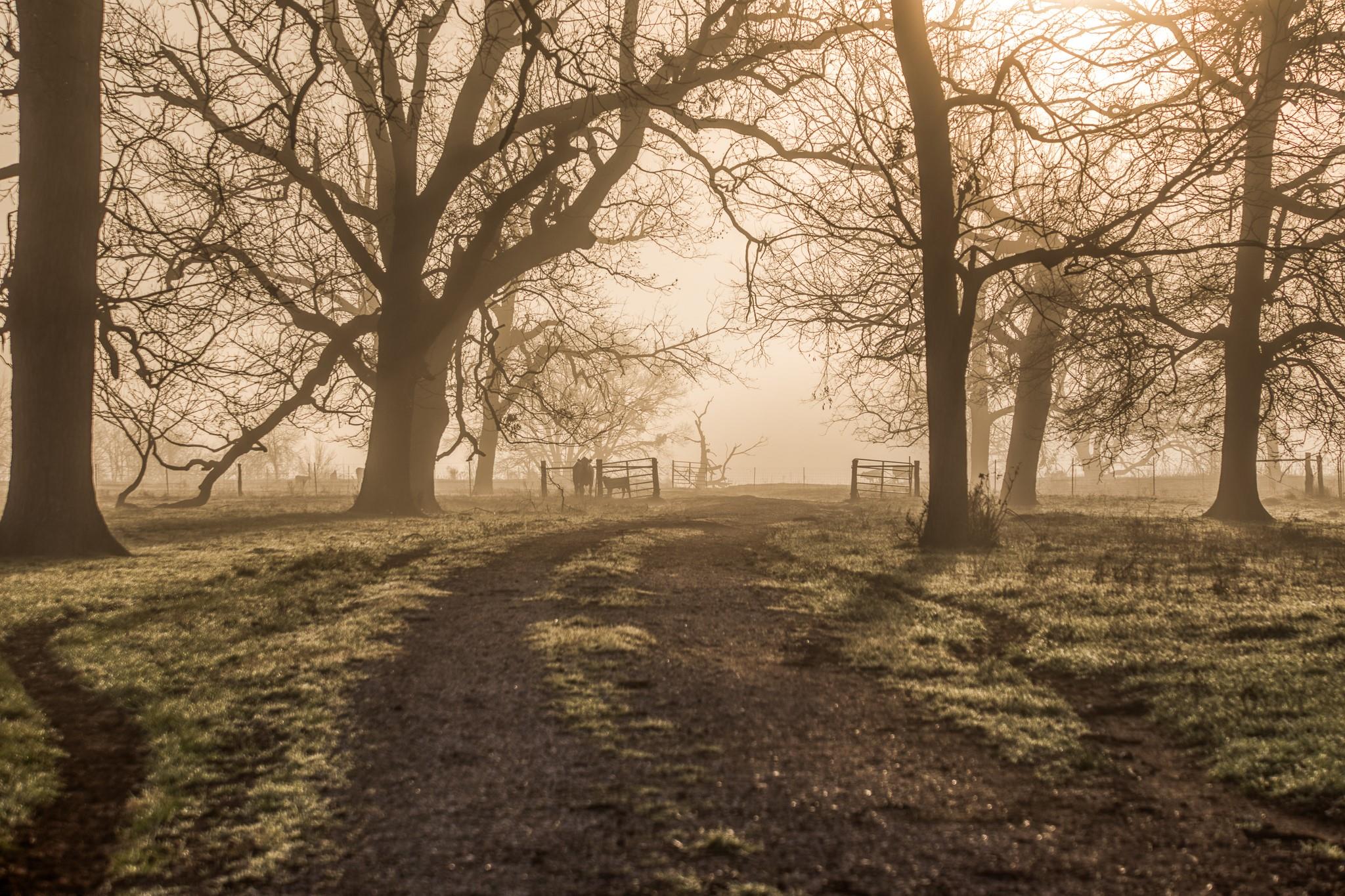 0000 Steck Bottom Road