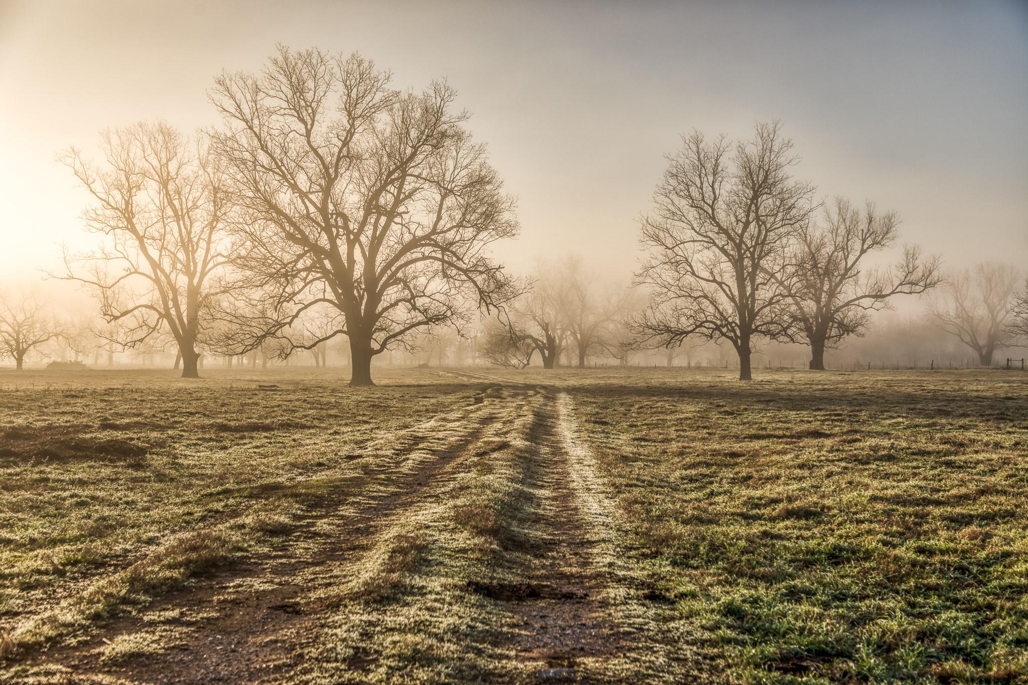 0000 Steck Bottom Road