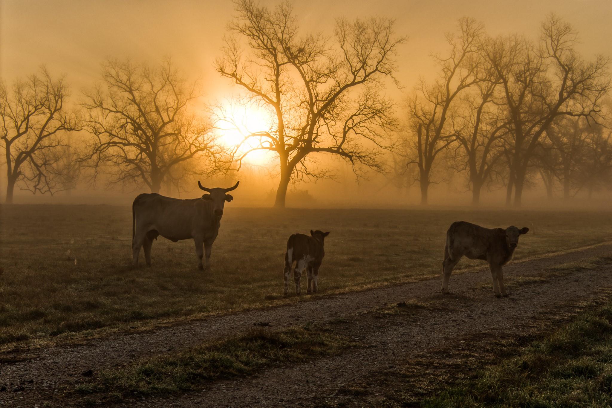 0000 Steck Bottom Road