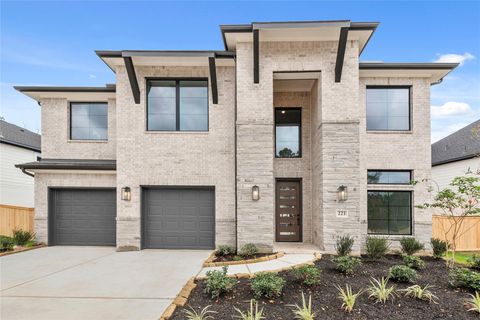 223 Warbler Song Drive Willis TX 77318