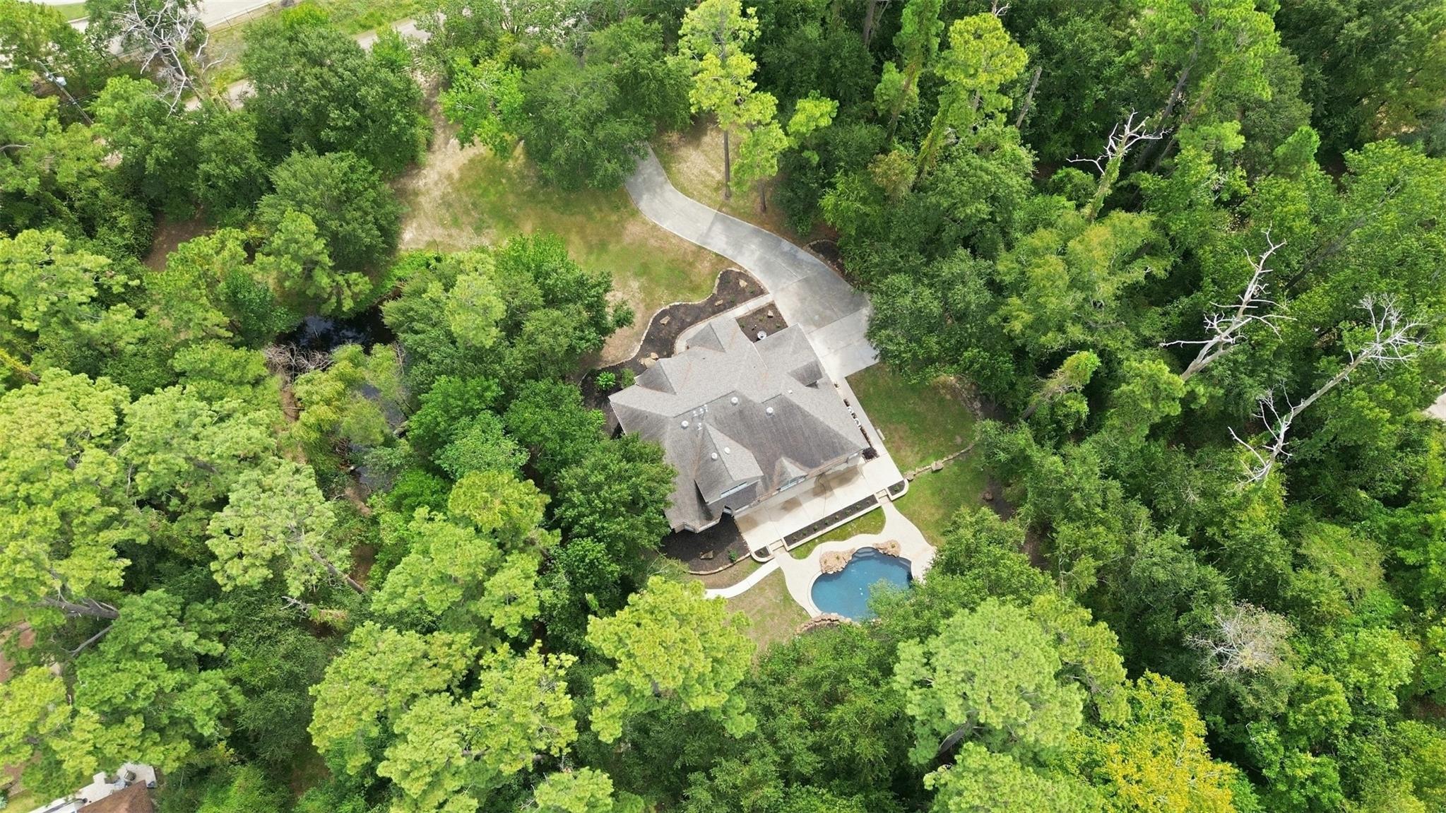 13107 Pine Drive