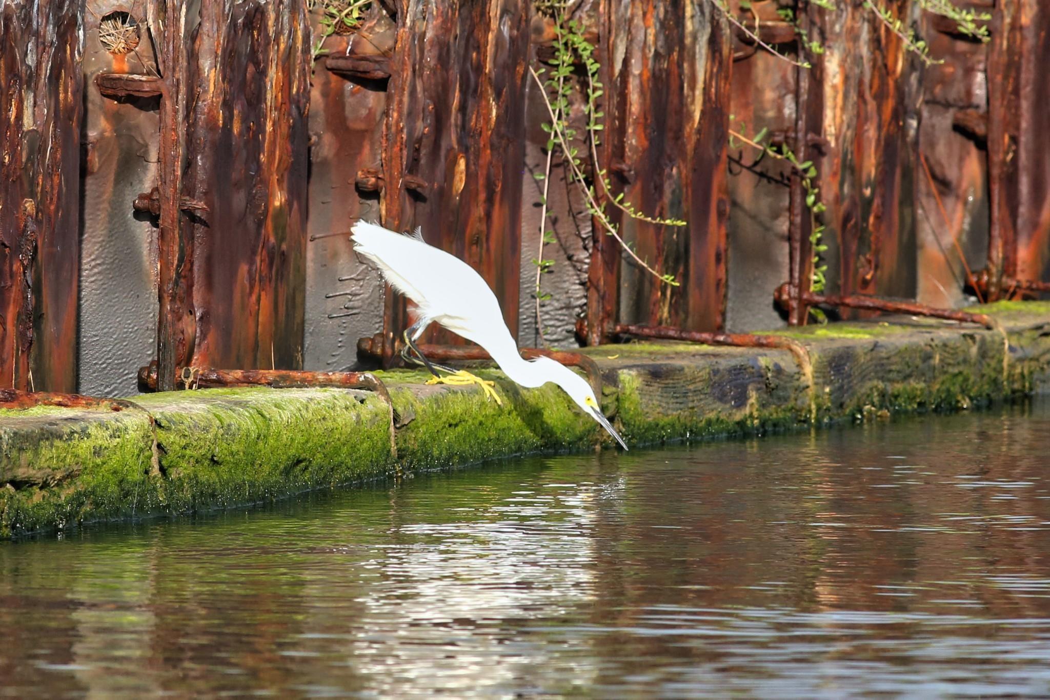 2028 County Road 201