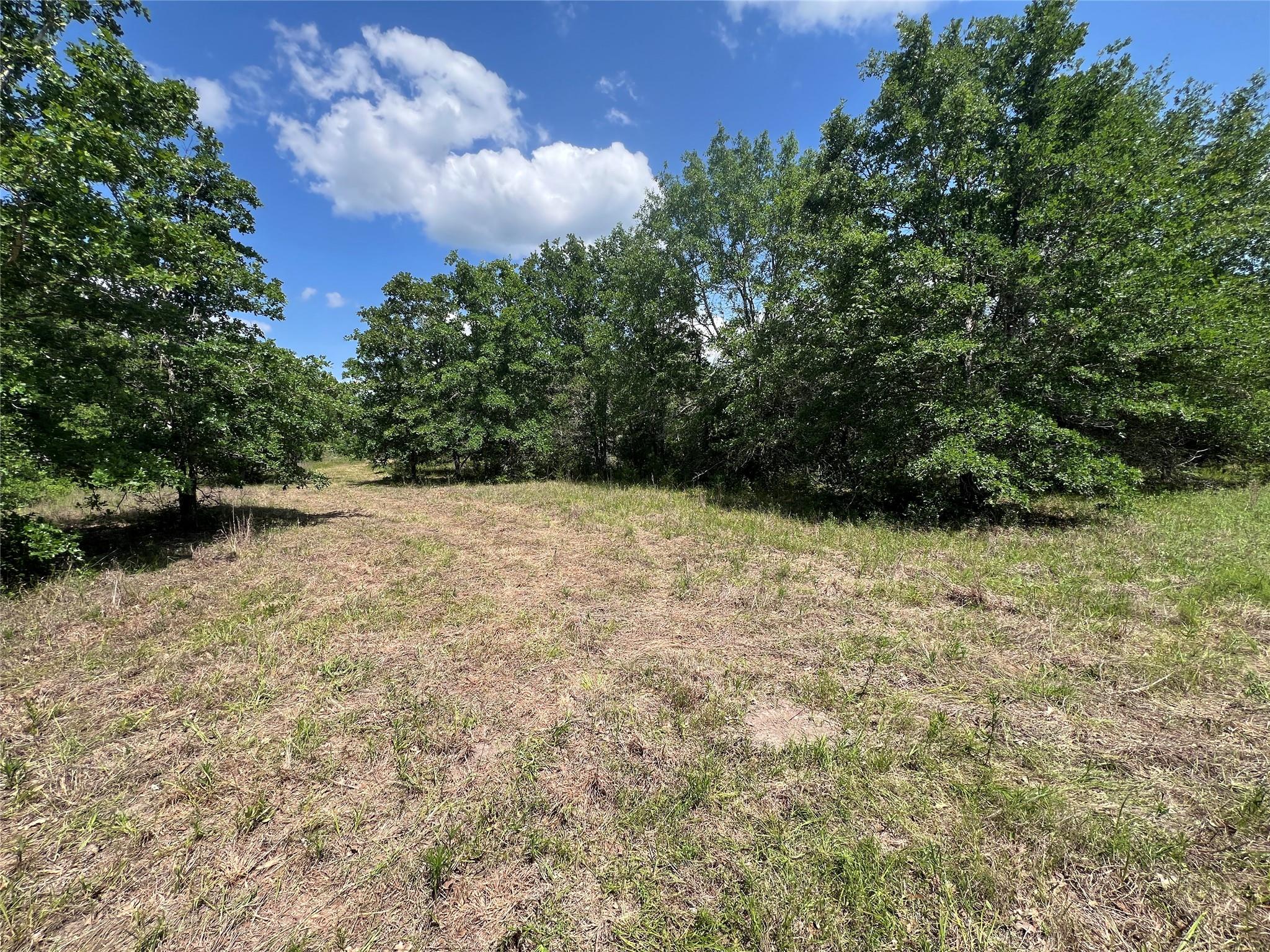 0010 Fm 2562 Road