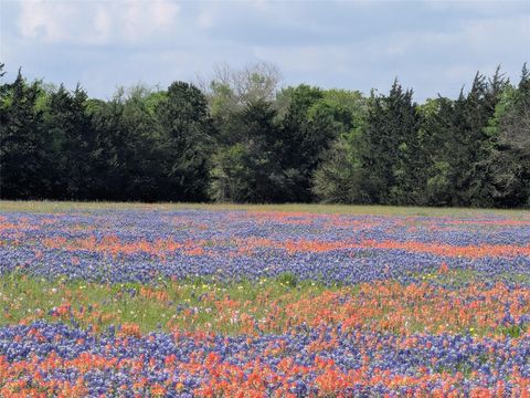 Photo of 10 Fm 2562 Road, Anderson, TX 77830 (MLS # 96865263)