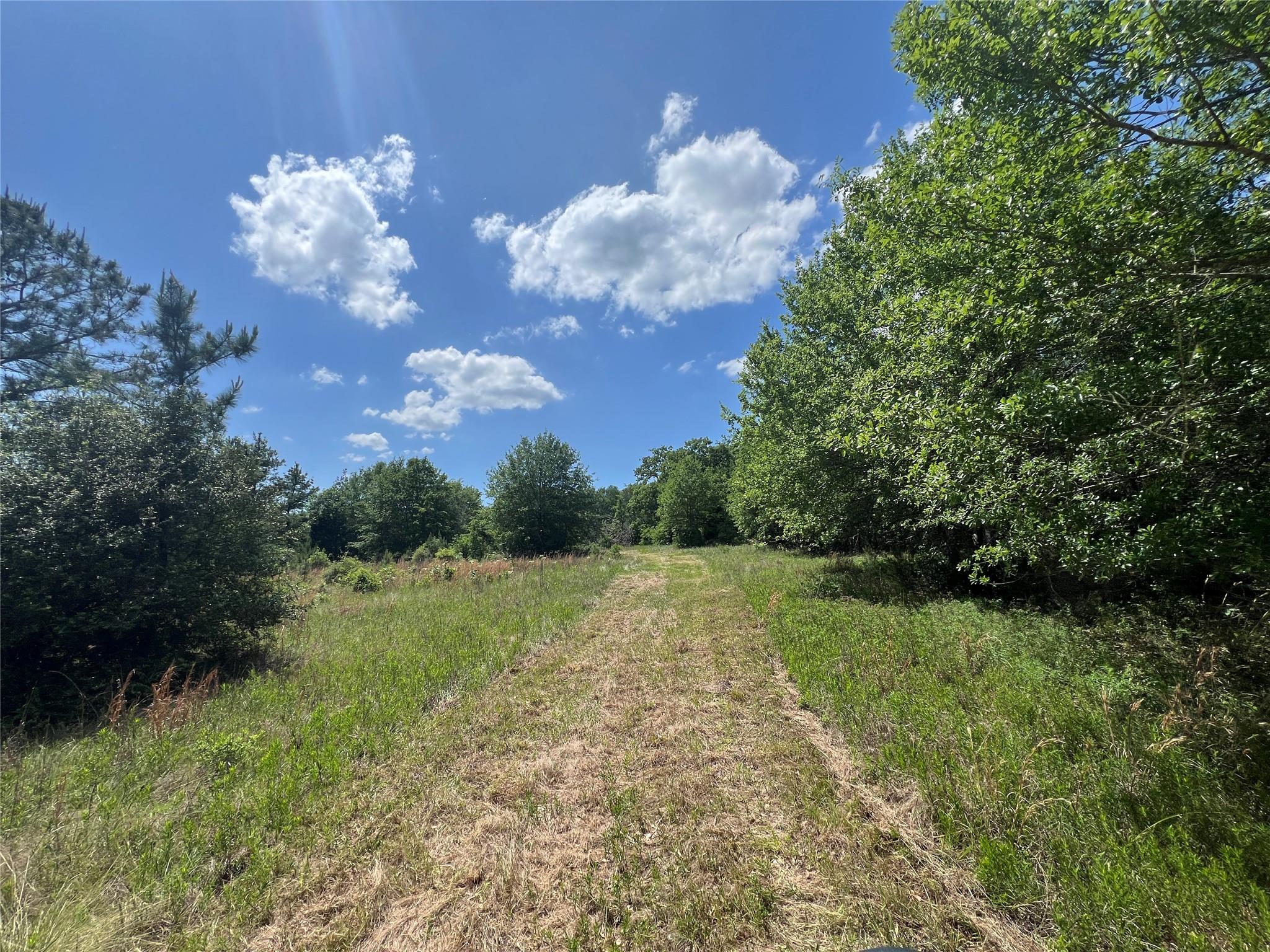 0010 Fm 2562 Road