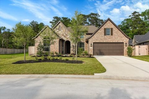 Photo of 430 Patina Drive, Montgomery, TX 77316 (MLS # 28353511)