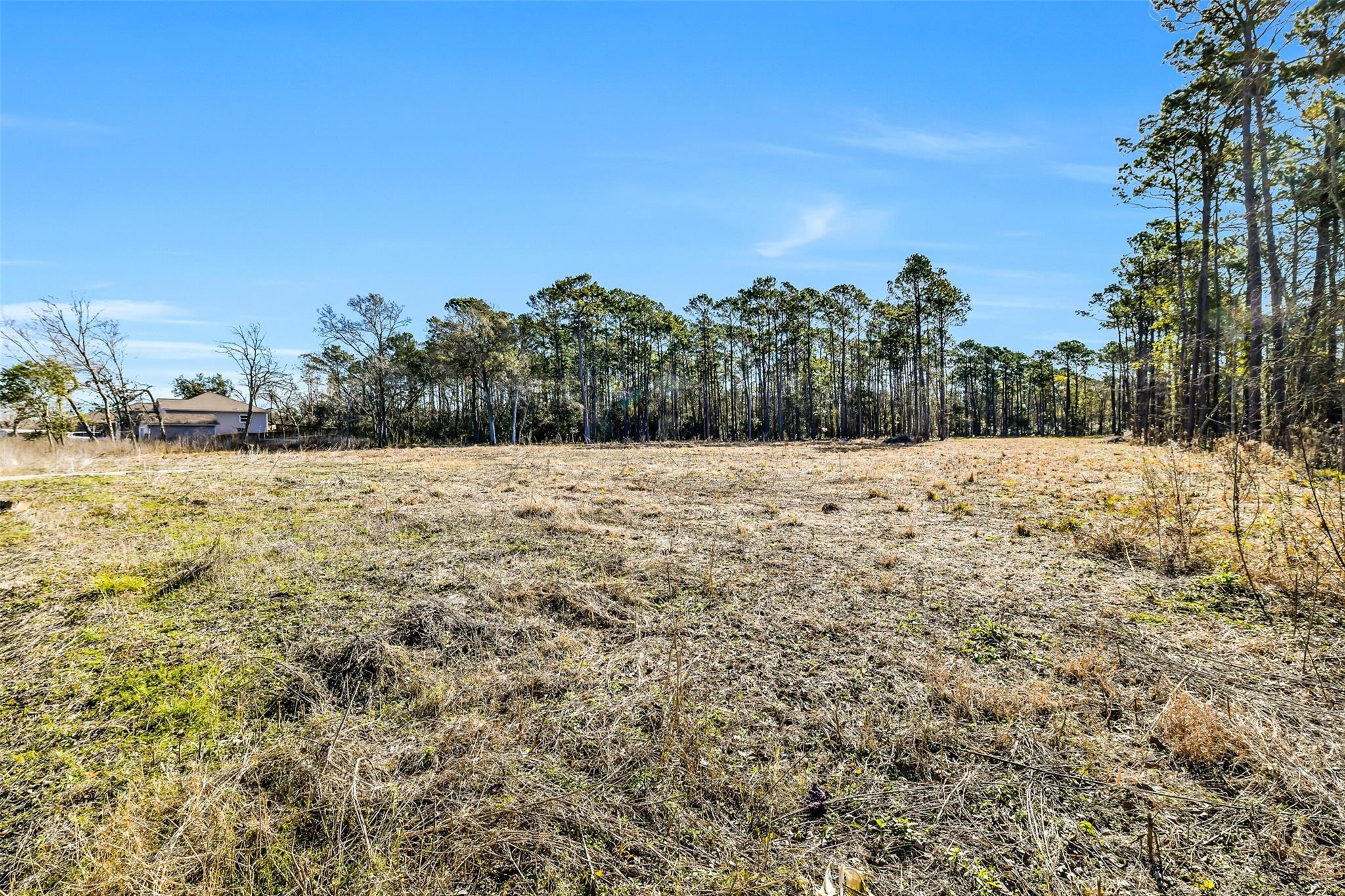 1524 Rodeo Bend Road