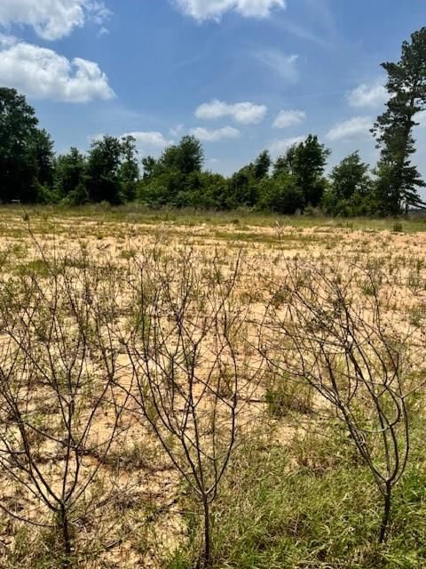 508 Road 5915 15 Cleveland TX 77327