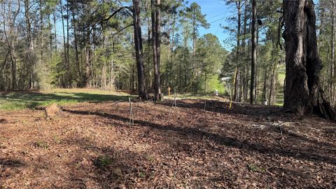 Vacant Land For Sale - 361 E Slumberlane Drive<br/> Livingston, TX 77351