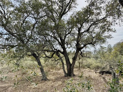 Vacant Land For Sale - 19.88 ACRES Friar Road<br/> Cuero, TX 77954