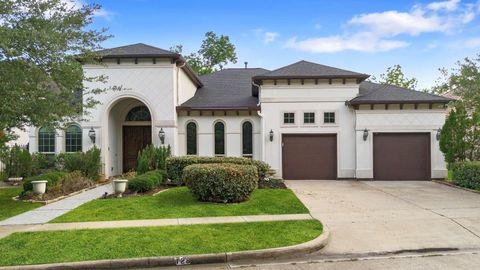 Photo of 128 Flamingo Island Drive, Missouri City, TX 77459 (MLS # 38397900)