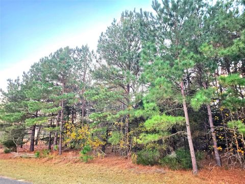 Photo of 0 Mallard Way, Larue, TX 75770 (MLS # 70358920)