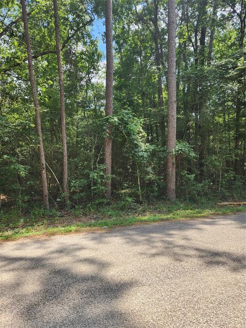 Vacant Land For Sale - TBD County Road 373<br/> Splendora, TX 77372