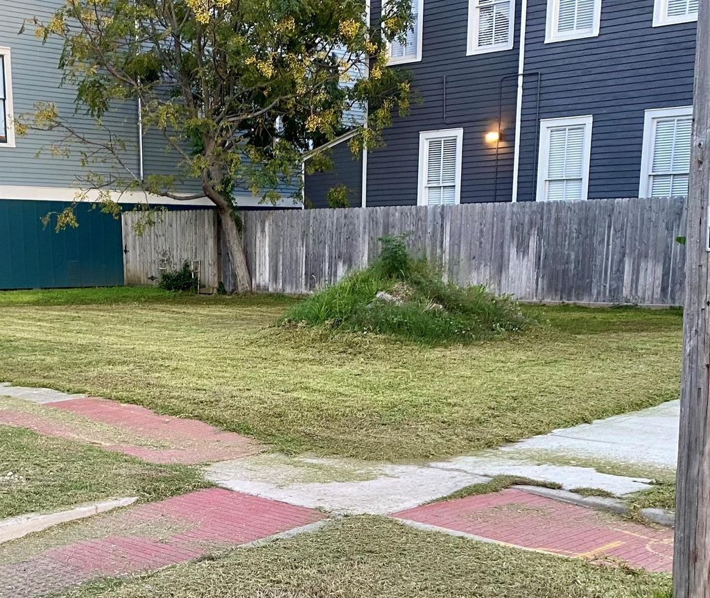 Photo of 302 18th Street, Galveston, TX 77550 (MLS # 62792846)