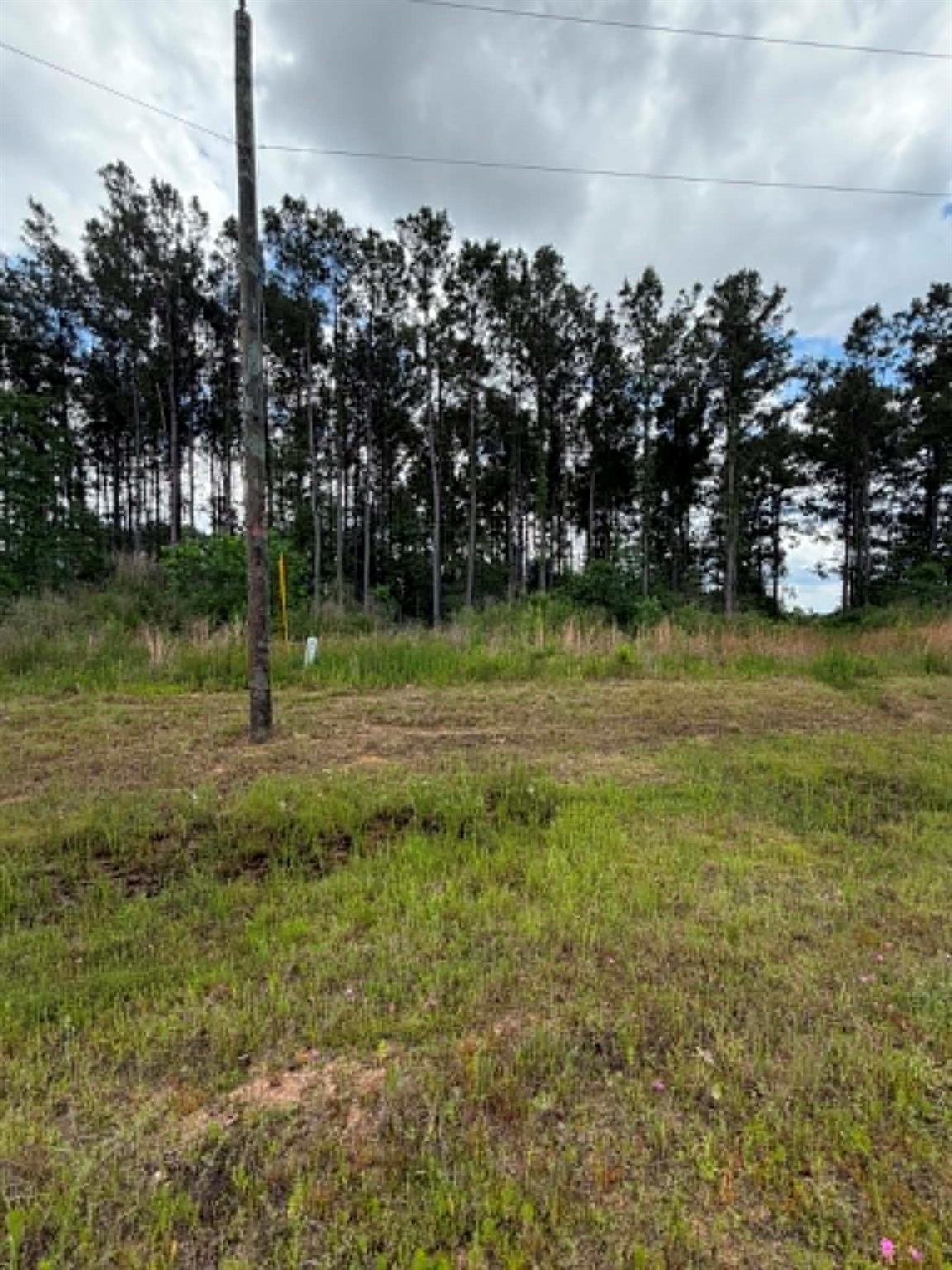 1178 Road 5913