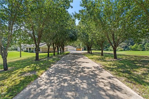 Photo of 735 Laurelia Loop Loop, Corrigan, TX 75939 (MLS # 67100956)