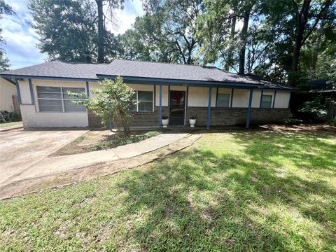 Photo of 307 Jill Street, Conroe, TX 77303 (MLS # 58562312)