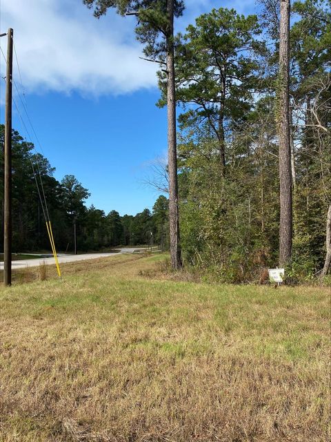 Photo of 14 Sandpiper Drive, New Waverly, TX 77358 (MLS # 74261391)