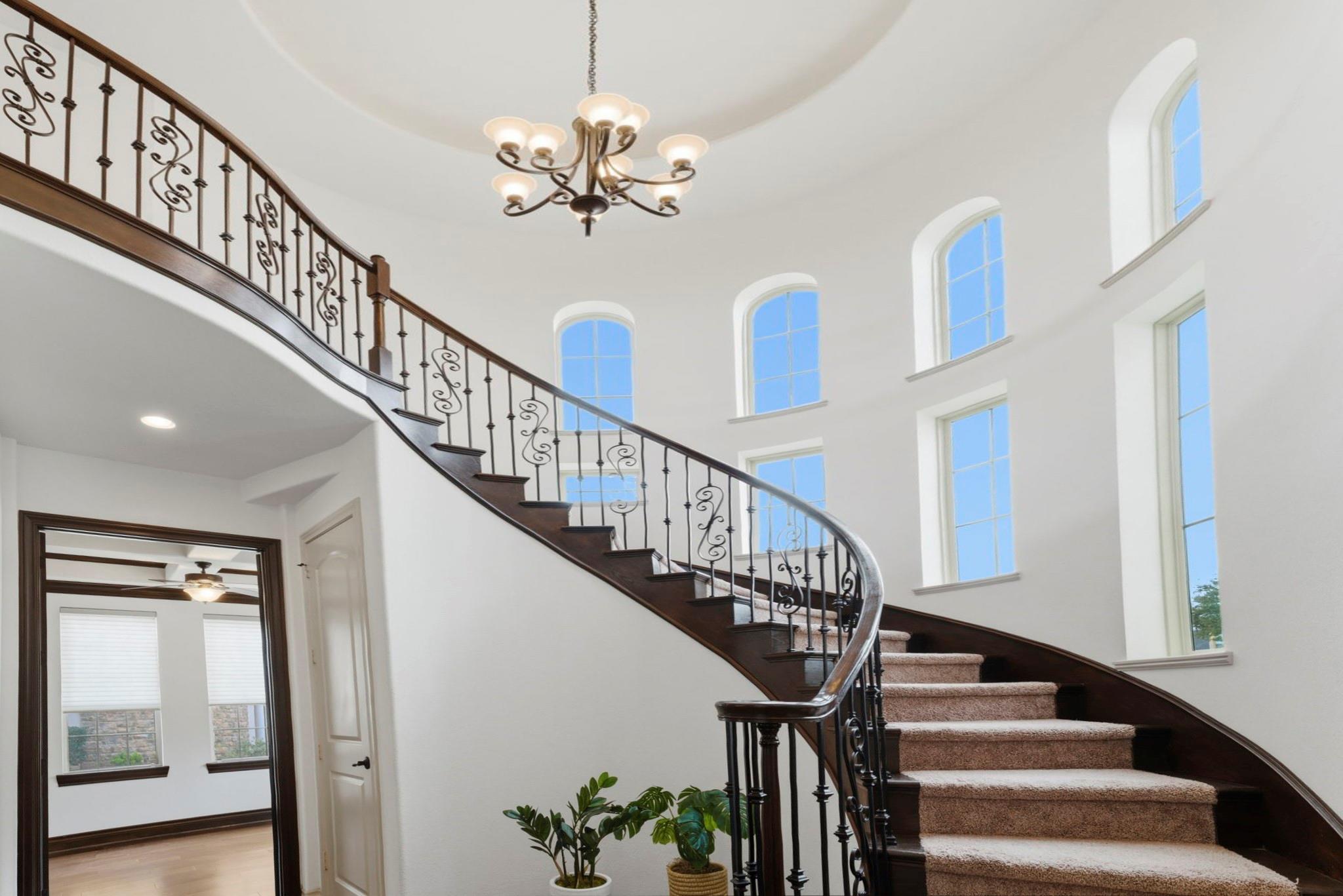 26006 Carolina Cherry Court