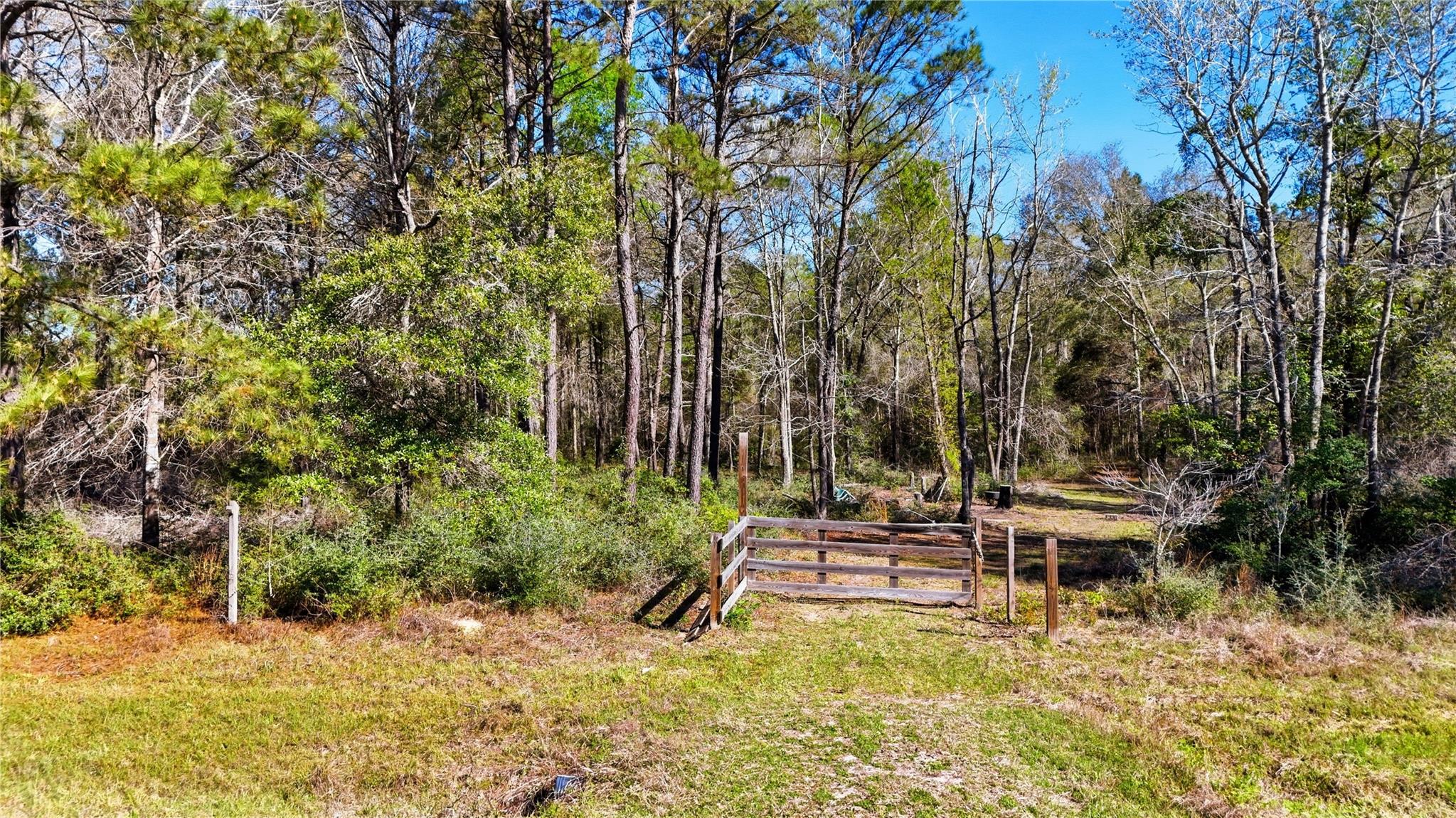21223 Peach Wood