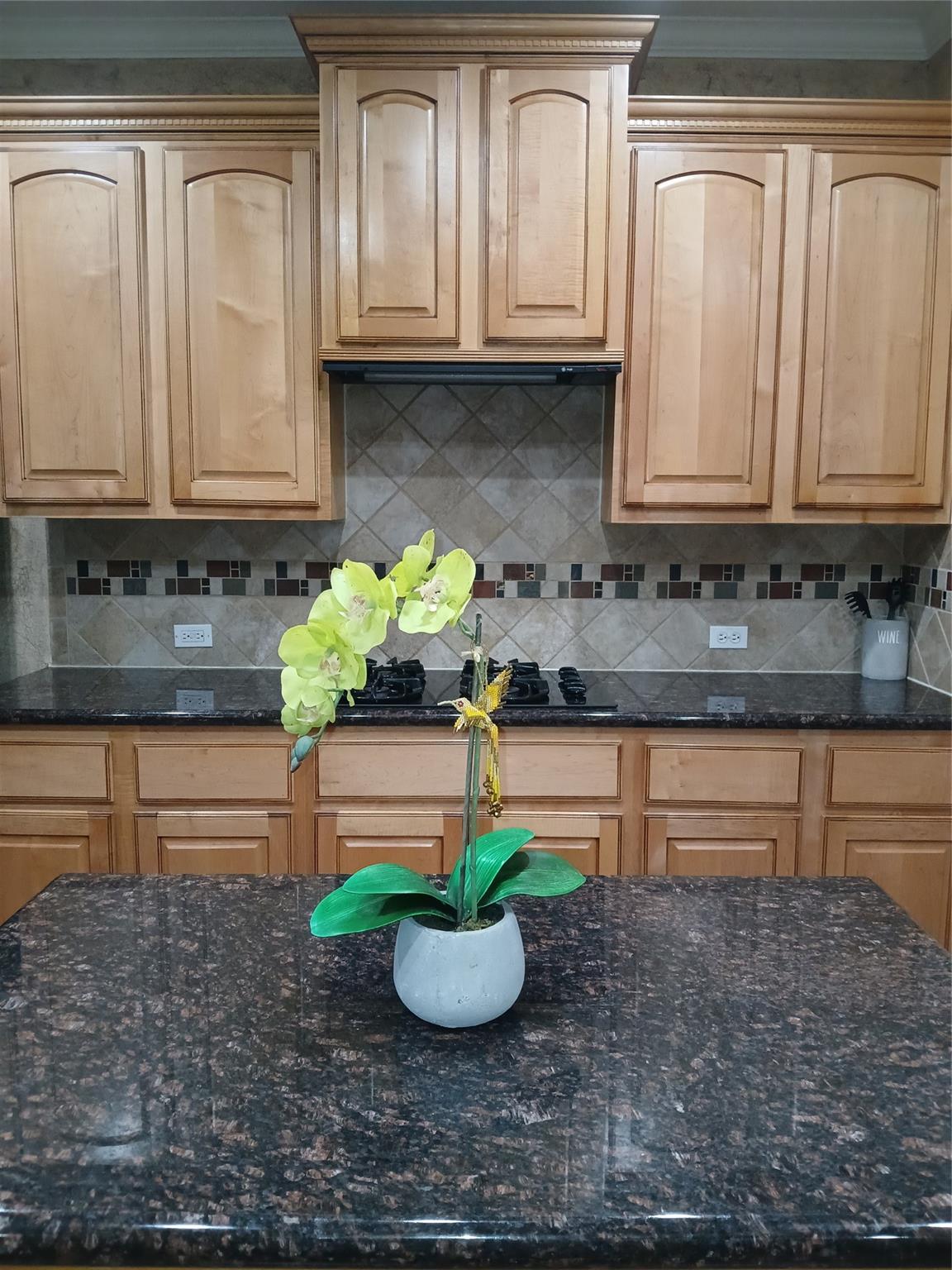 11608 Summer Moon Drive