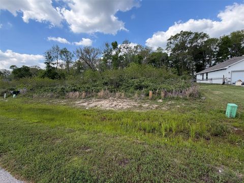 Photo of 56 County Road 6615, Dayton, TX 77535 (MLS # 79883184)