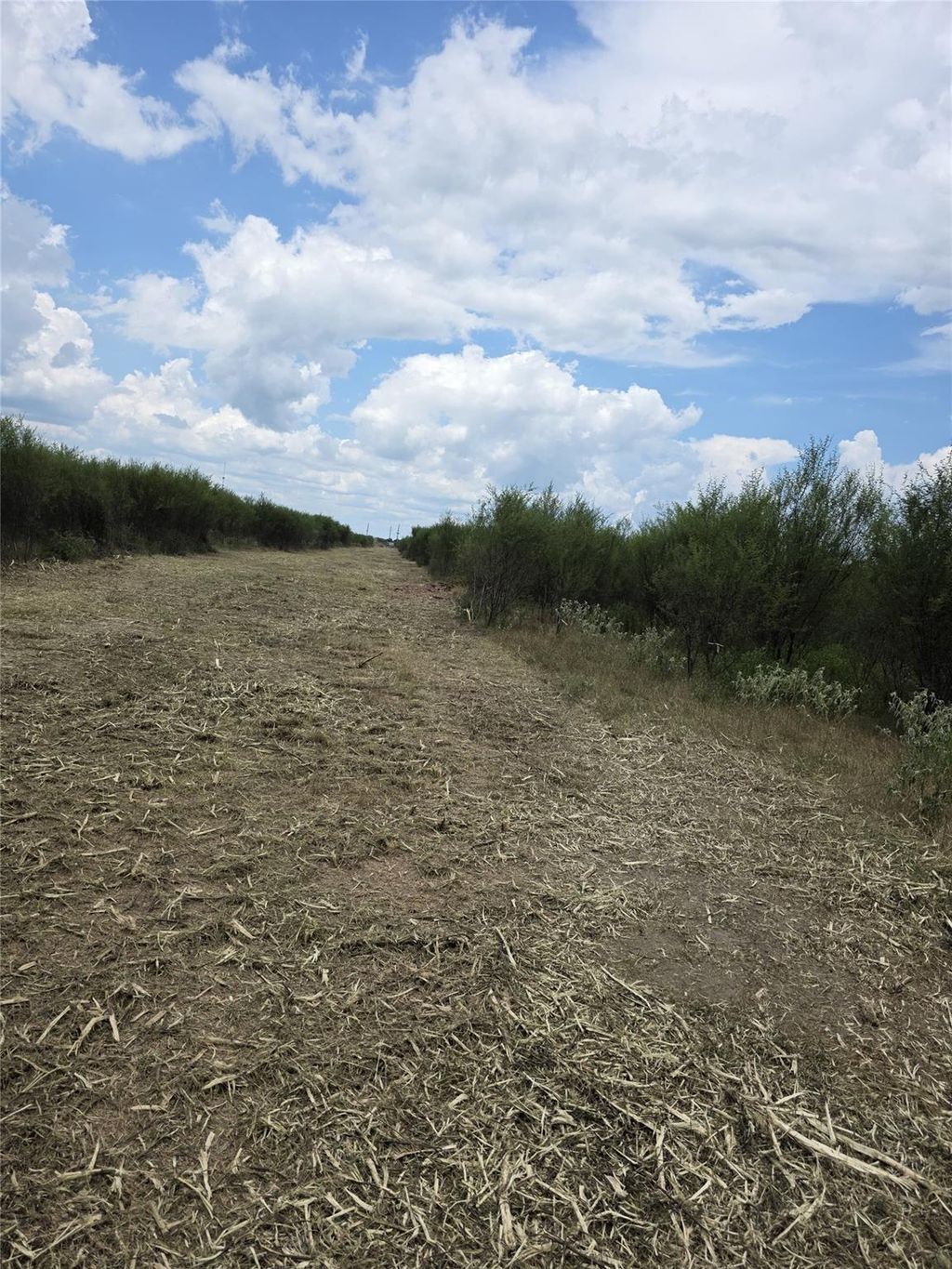 Photo of 36847 Richard Frey 1-23 Road, Hempstead, TX 77445 (MLS # 24505469)