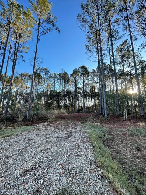 11356 Annie Creek Drive Willis TX 77378