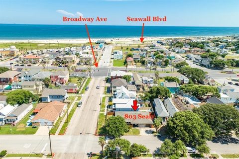 Photo of 803 Sealy Street, Galveston, TX 77550 (MLS # 43708027)