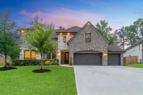 109 Bronze Peak Court Montgomery TX 77316