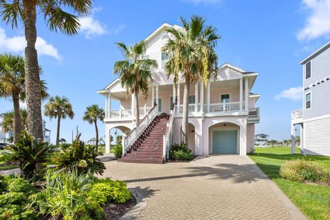 25711 Spotted Sandpiper Drive Galveston TX 77554