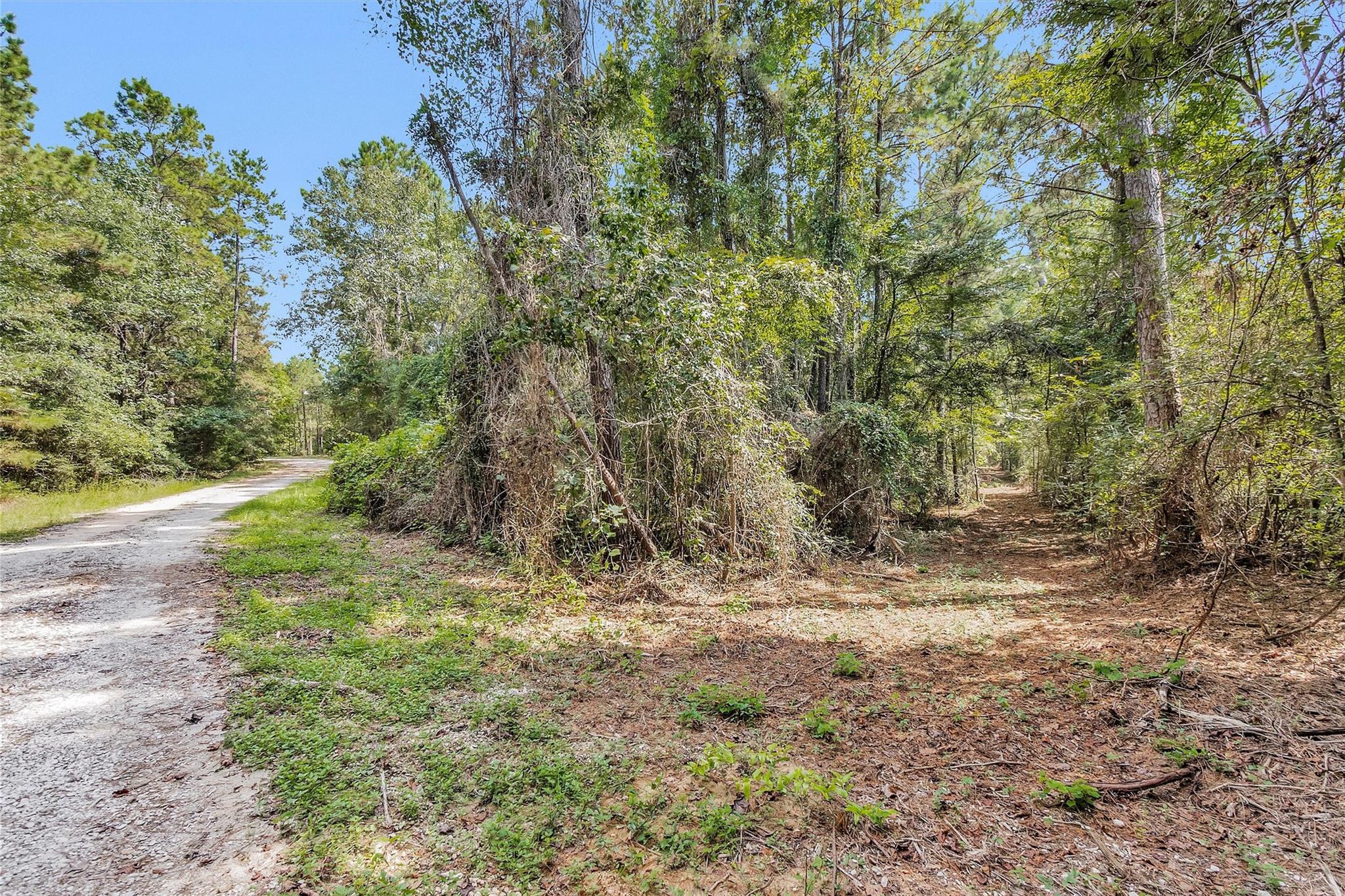 17008 E Fm 1097 Road
