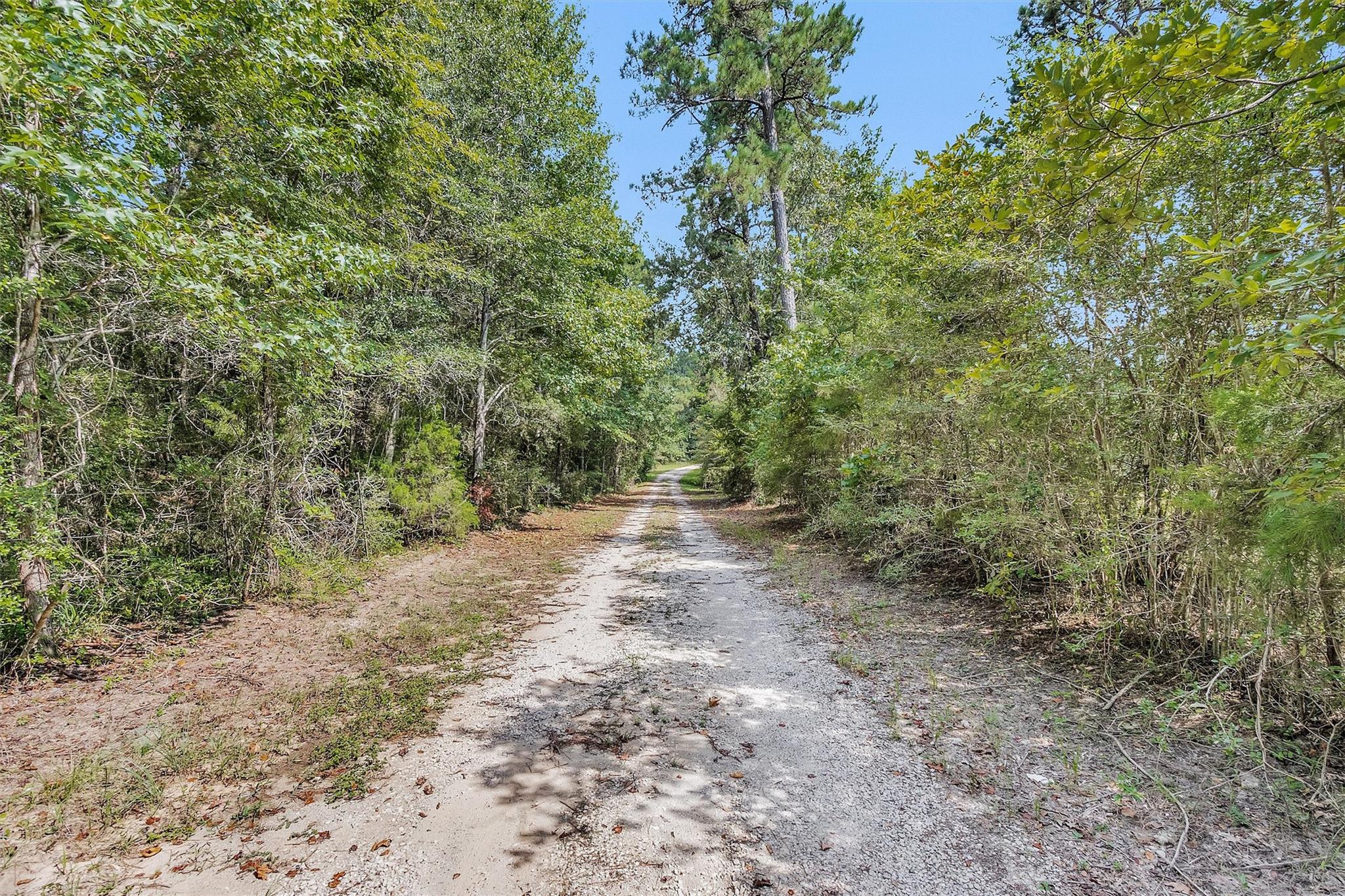 17008 E Fm 1097 Road