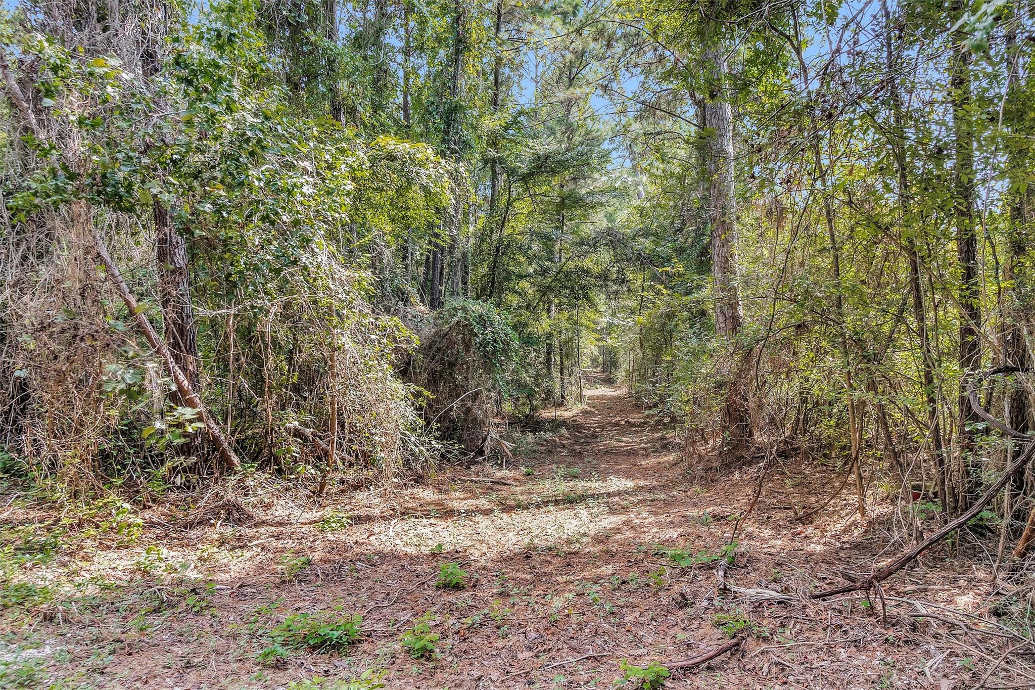 17008 E Fm 1097 Road