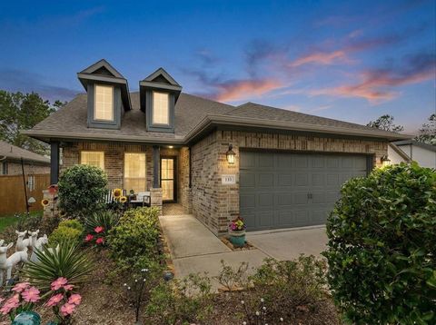Photo of 133 Pepper Grass Place, Montgomery, TX 77316 (MLS # 37411720)