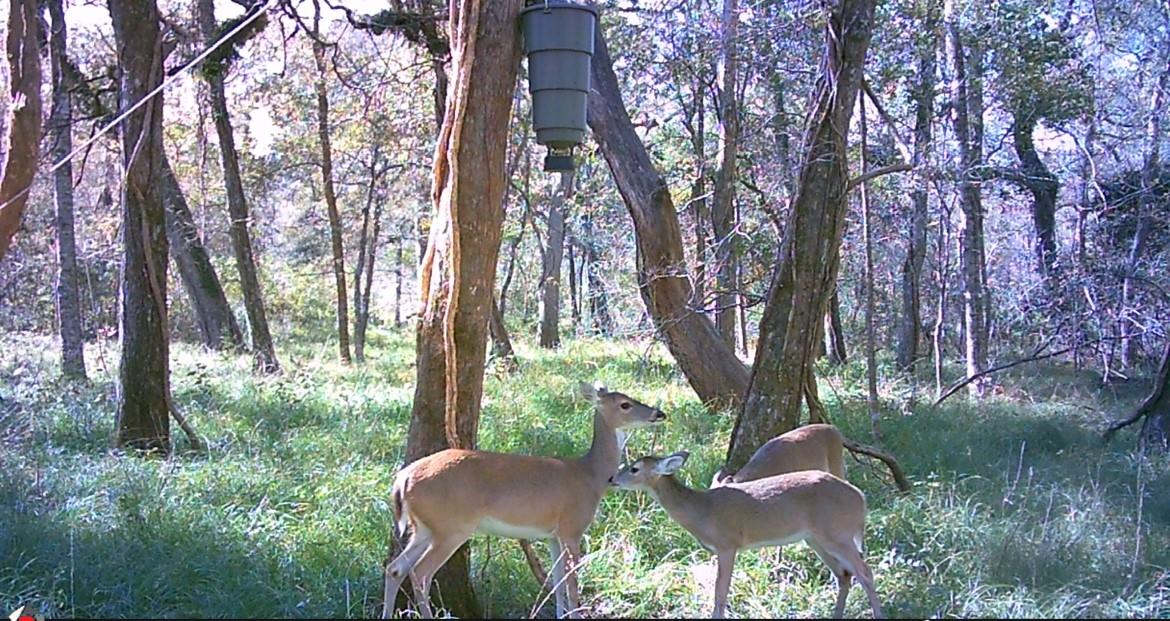 0 Squirrel Hollow Road